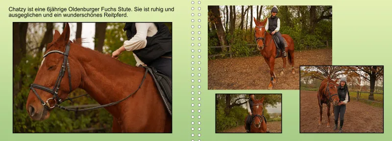 Fotoalbum A4 - Faszination Reitsport