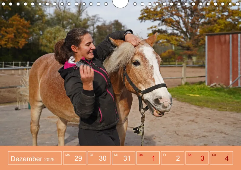 2026 A4 Faszination Reitsport - Wochenkalender