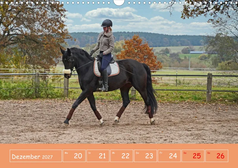 2027 A3 Faszination Reitsport - Wochenkalender