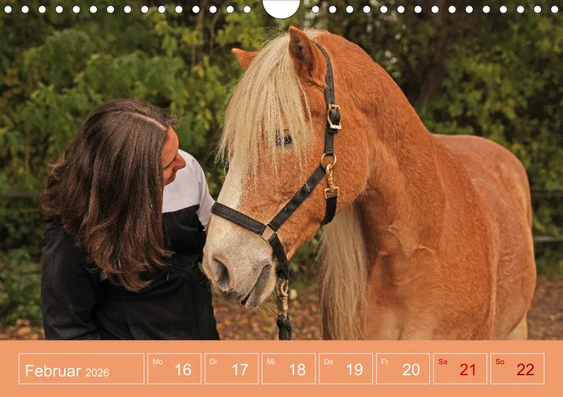 2026 A4 Faszination Reitsport - Wochenkalender