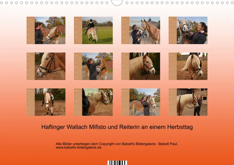 2027 Planer A3 Faszination Haflinger