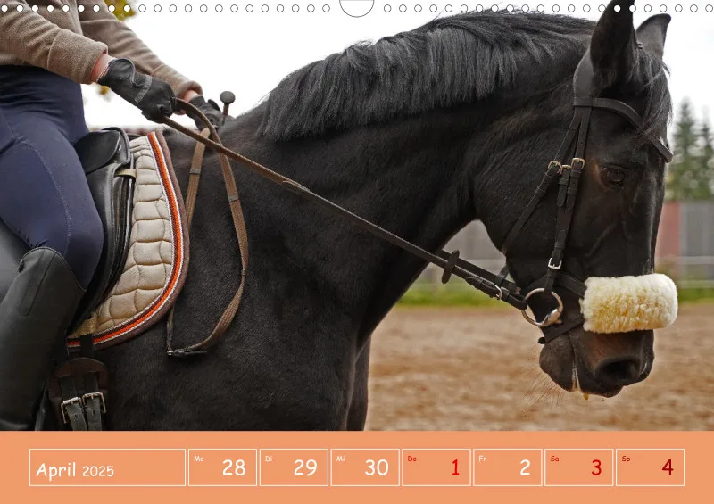 2025 A3 Faszination Reitsport - Wochenkalender