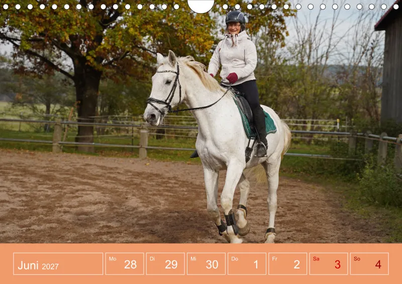 2027 A4 Faszination Reitsport - Wochenkalender