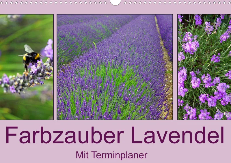2026 A3 Terminplaner Farbzauber Lavendel