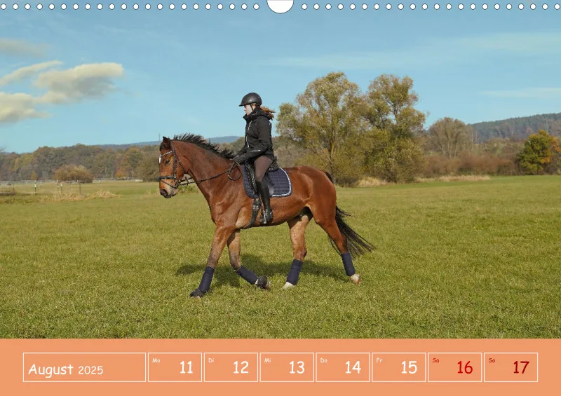 2025 A3 Faszination Reitsport - Wochenkalender