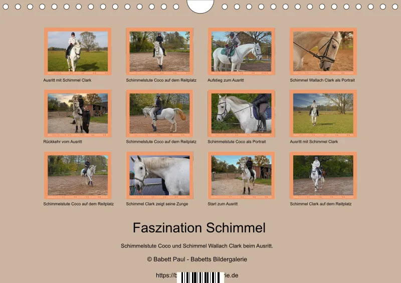 2027 A4 Faszination Schimmel