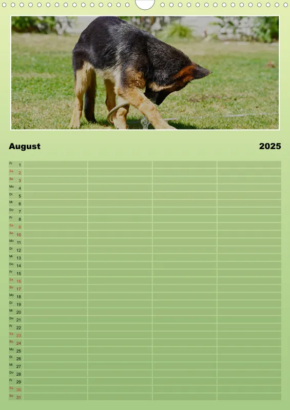 2025 A3 Familienplaner Schäferhündin