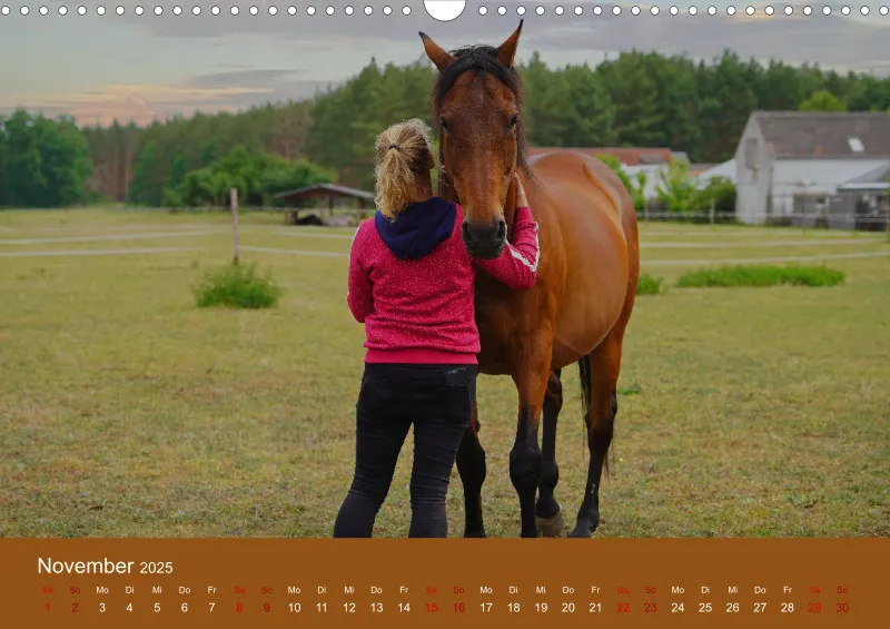 2025 A3 Faszination Trakehner