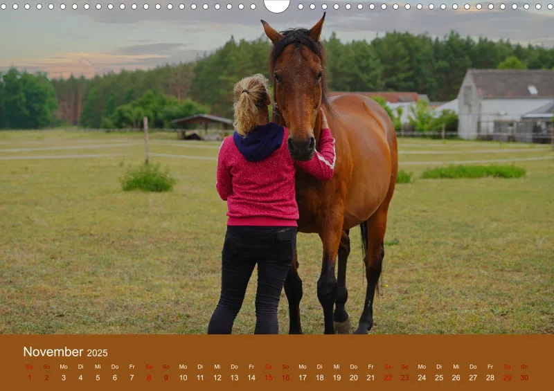 2025 A3 Faszination Trakehner