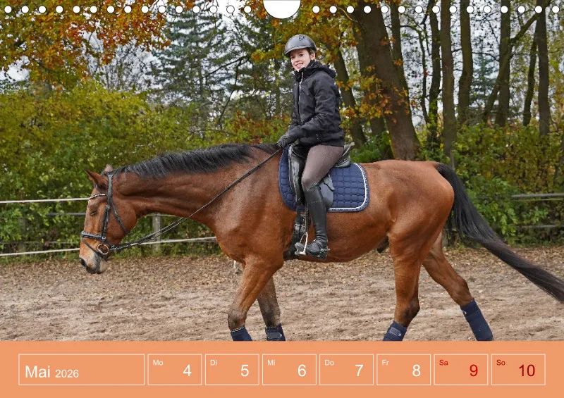 2026 A4 Faszination Reitsport - Wochenkalender
