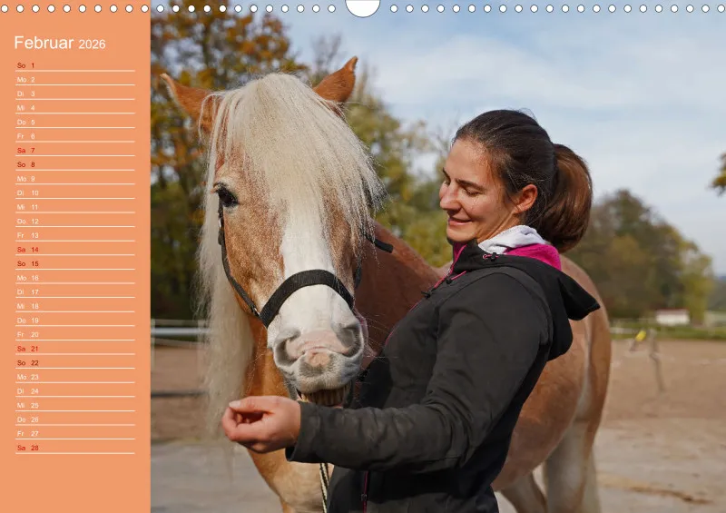 2026 A3 Planer Haflinger Mifisto und Reiterin