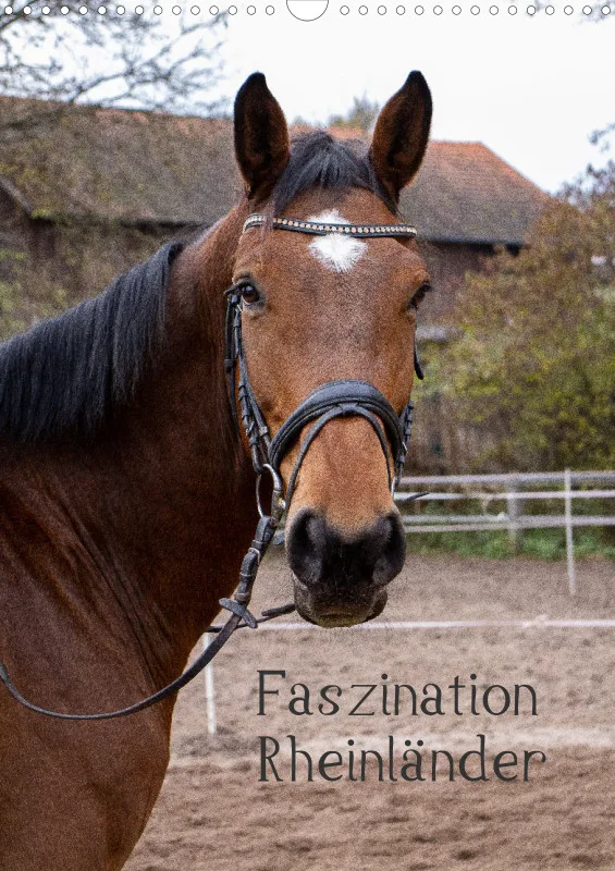 2027 A3 Hoch - Faszination Rheinländer