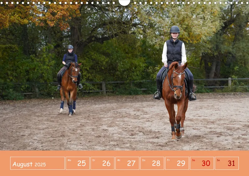 2025 A3 Faszination Reitsport - Wochenkalender