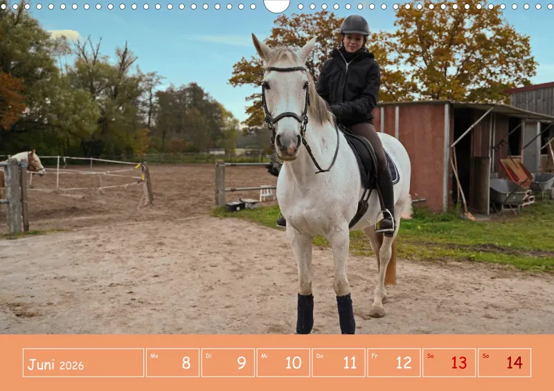 2026 A3 Faszination Reitsport - Wochenkalender