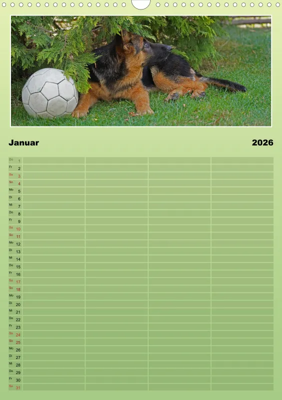 2026 A3 Familienplaner Schäferhündin