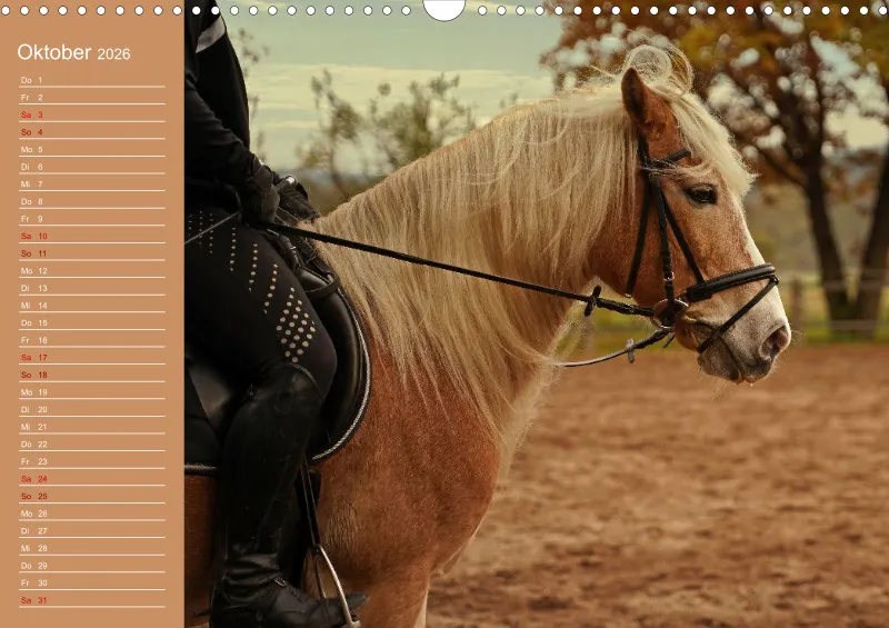 2026 A3 Faszination Haflinger