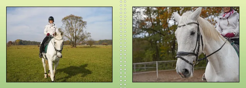 Fotoalbum A4 - Faszination Reitsport