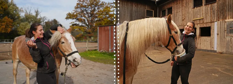 Fotoalbum A4 - Faszination Reitsport