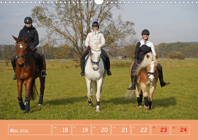 2026 A3 Faszination Reitsport - Wochenkalender