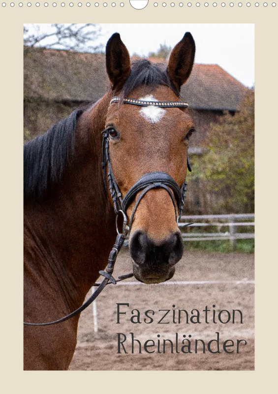 2026 A3 Hoch - Faszination Rheinländer