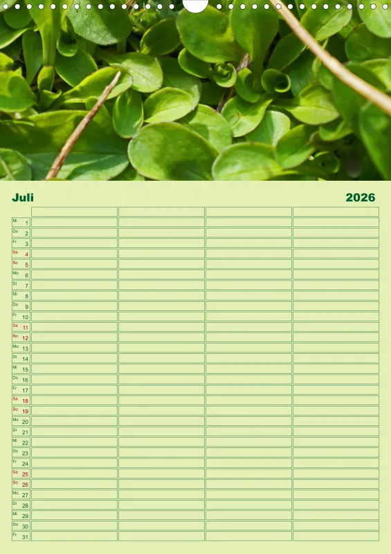 2026 A3 Planer Farbzauber Natur - Grün