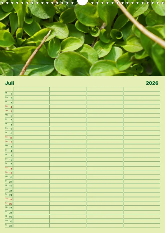 2026 A3 Planer Farbzauber Natur - Grün