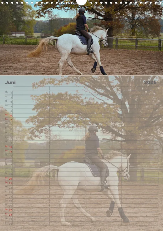 2026 A3 Faszination Reitsport - Familienplaner
