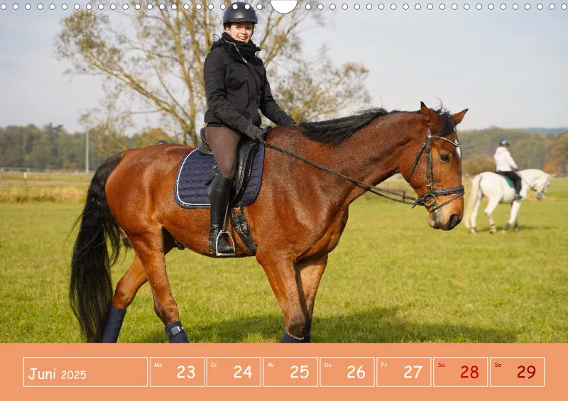 2025 A3 Faszination Reitsport - Wochenkalender