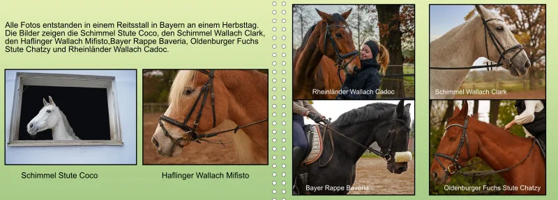 Fotoalbum A4 - Faszination Reitsport