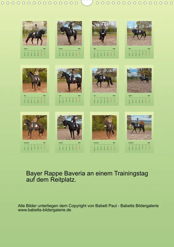 2026 A3 Faszination Bayer