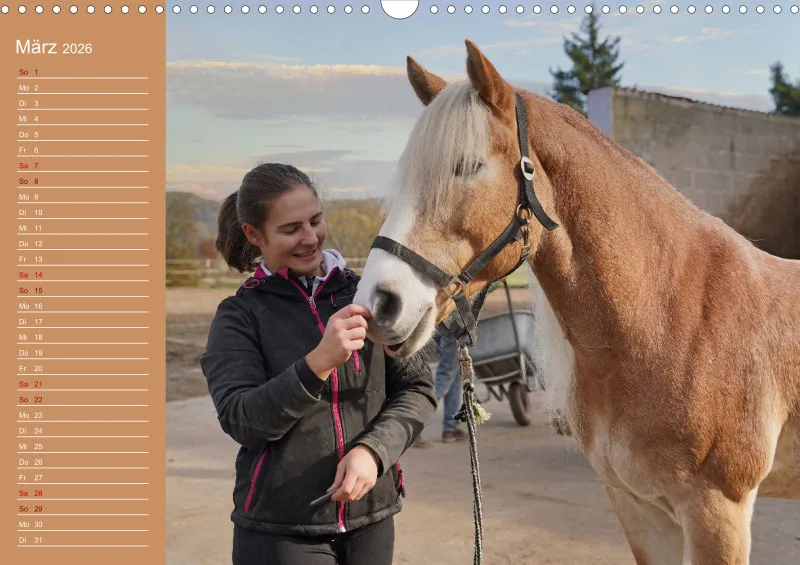 2026 A3 Faszination Haflinger
