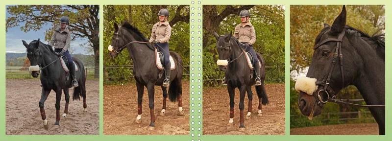 Fotoalbum A4 - Faszination Reitsport