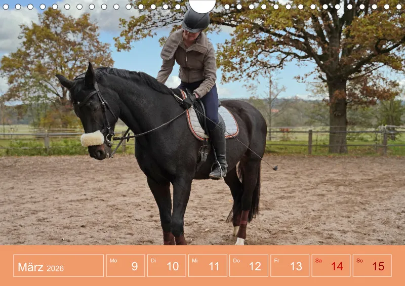 2026 A4 Faszination Reitsport - Wochenkalender