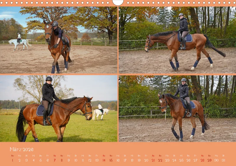 2026 A3 Faszination Reitsport