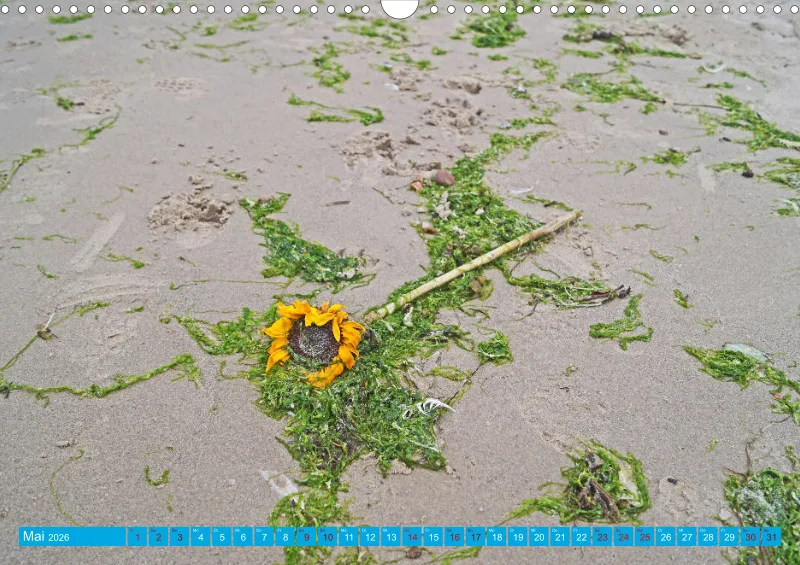 2026 A3 Unterwegs am Strand