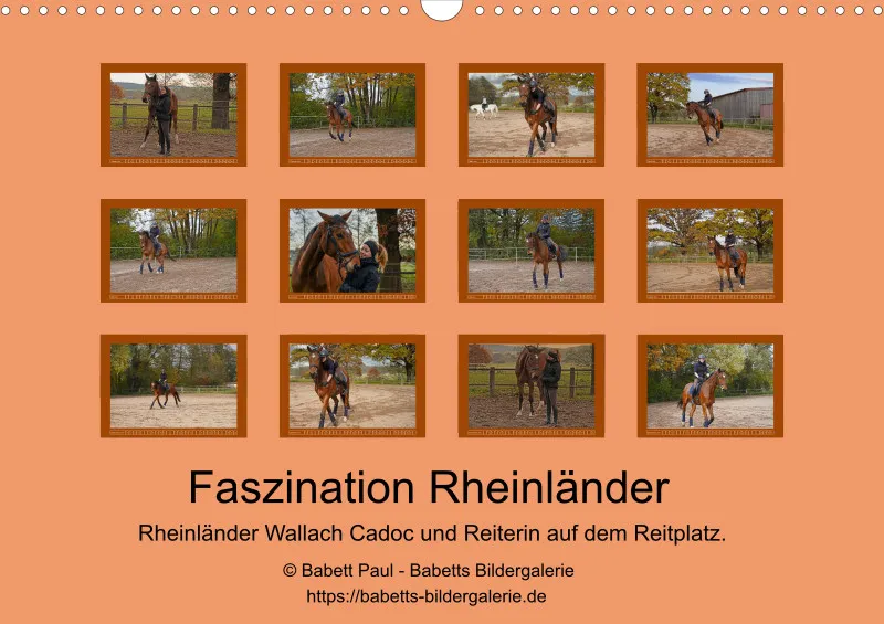 2026 A3 - Faszination Rheinländer