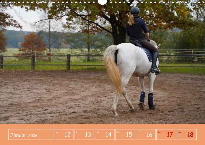 2026 A3 Faszination Reitsport - Wochenkalender
