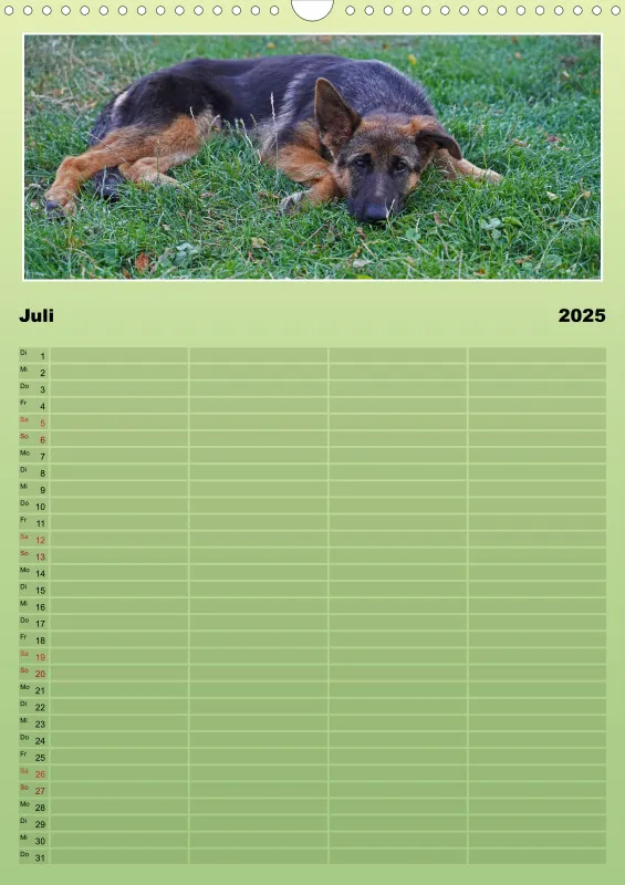 2025 A3 Familienplaner Schäferhündin