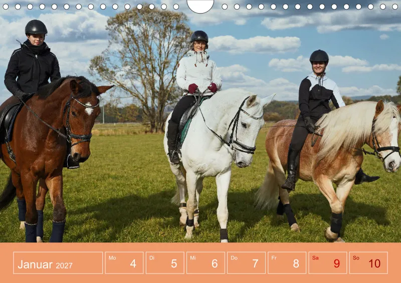 2026 A4 Faszination Reitsport - Wochenkalender