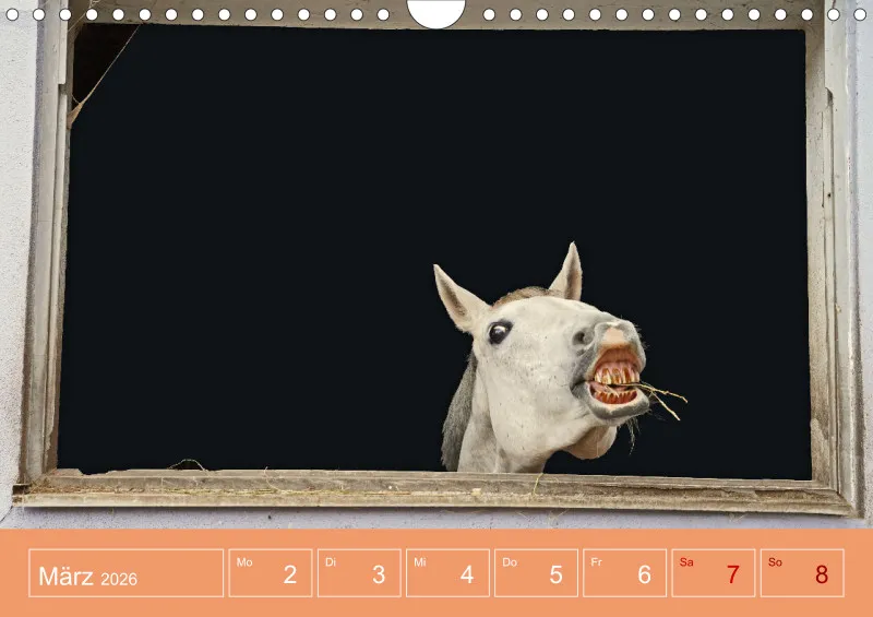2026 A4 Faszination Reitsport - Wochenkalender