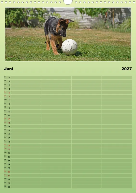 2027 A3 Familienplaner Schäferhündin