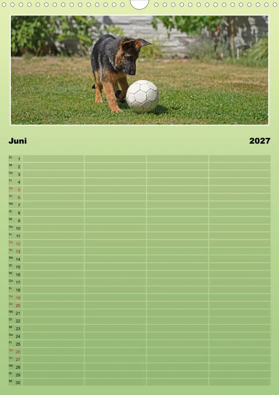 2027 A3 Familienplaner Schäferhündin