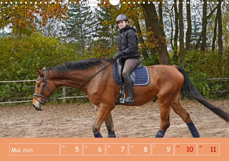 2025 A3 Faszination Reitsport - Wochenkalender