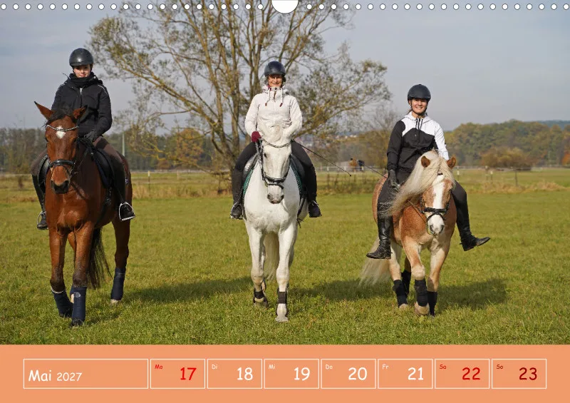 2027 A3 Faszination Reitsport - Wochenkalender