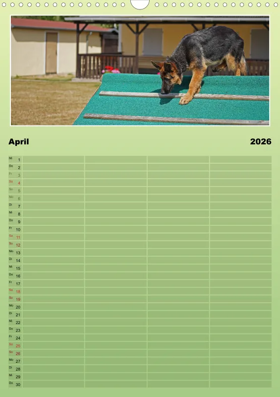 2026 A3 Familienplaner Schäferhündin