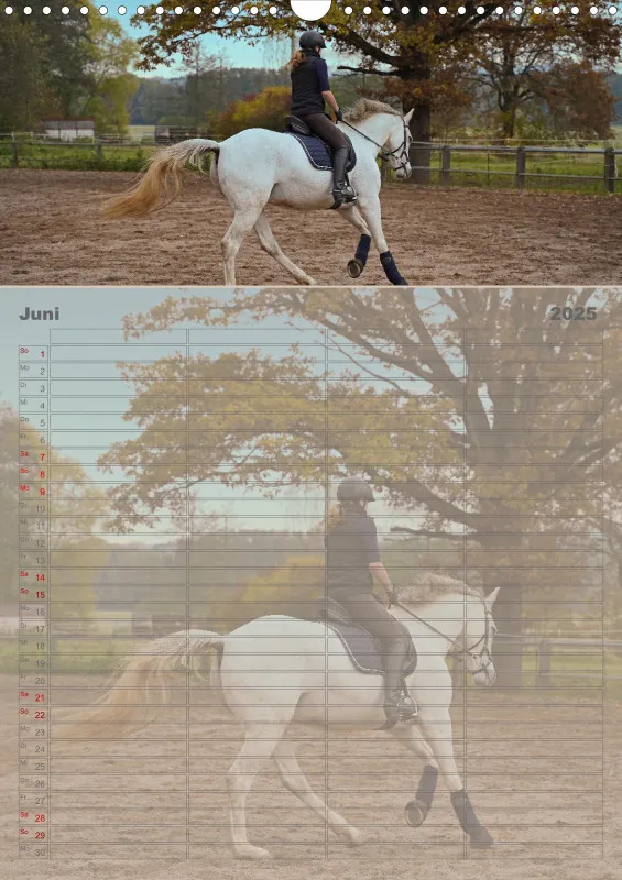 2025 A3 Faszination Reitsport - Familienplaner