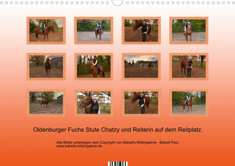 2027 A3 - Faszination Oldenburger