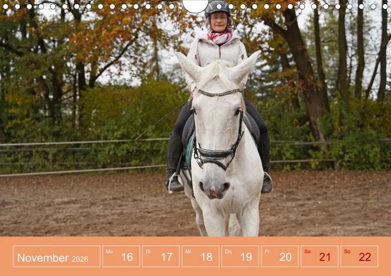 2026 A4 Faszination Reitsport - Wochenkalender