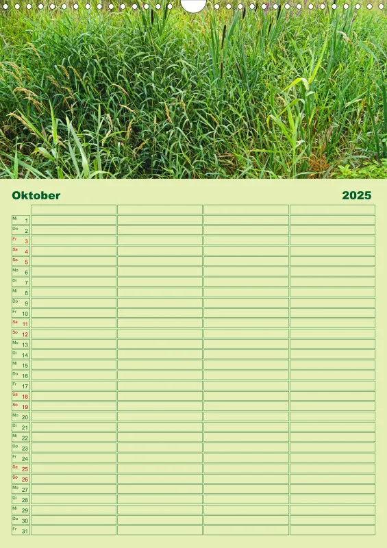 2025 A3 Planer Farbzauber Natur - Grün