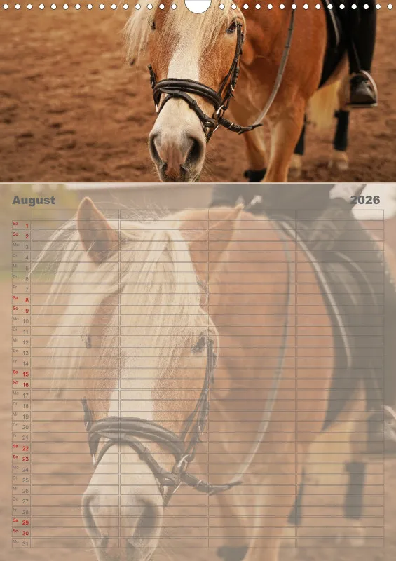 2026 A3 Faszination Reitsport - Familienplaner